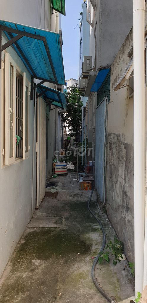 4337306 ảnh đại diện 2
