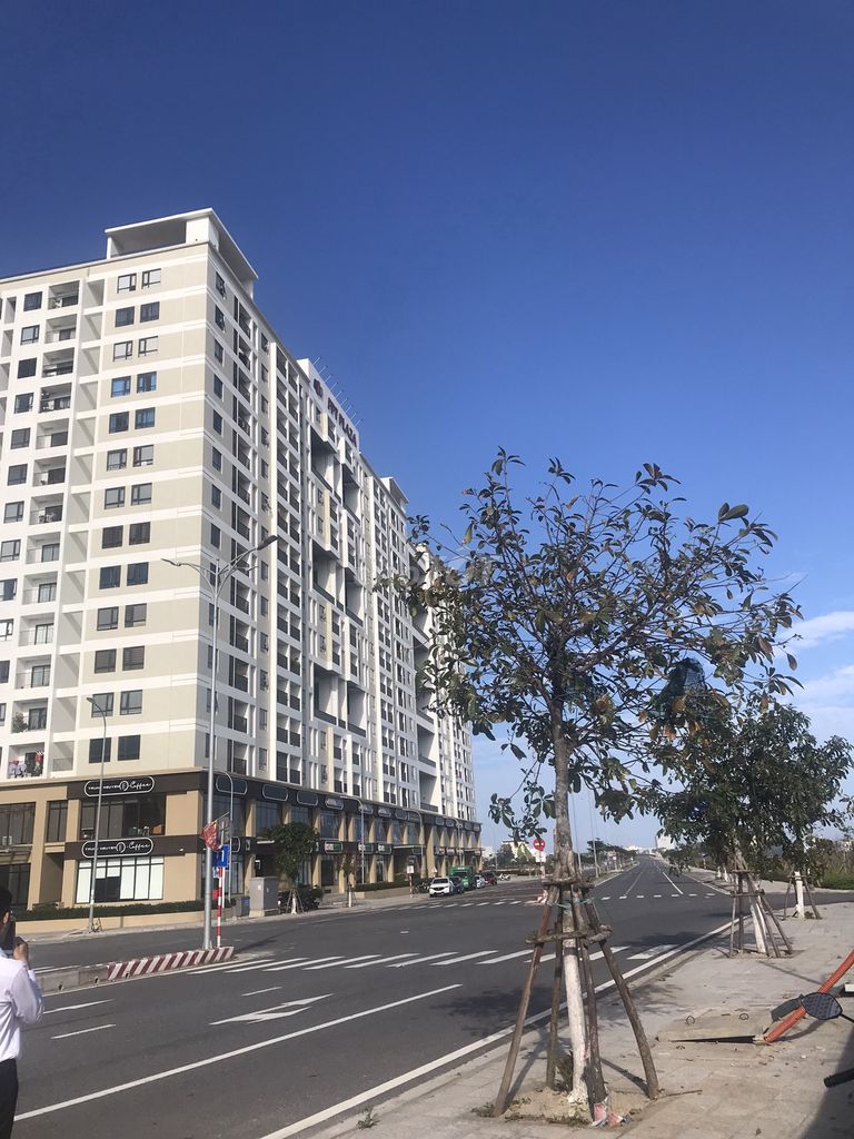 4339275 ảnh đại diện 1