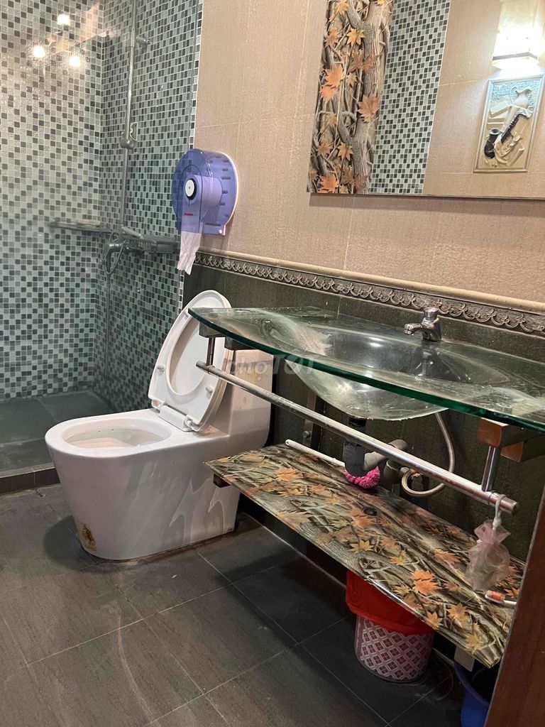 4338438 ảnh đại diện 1
