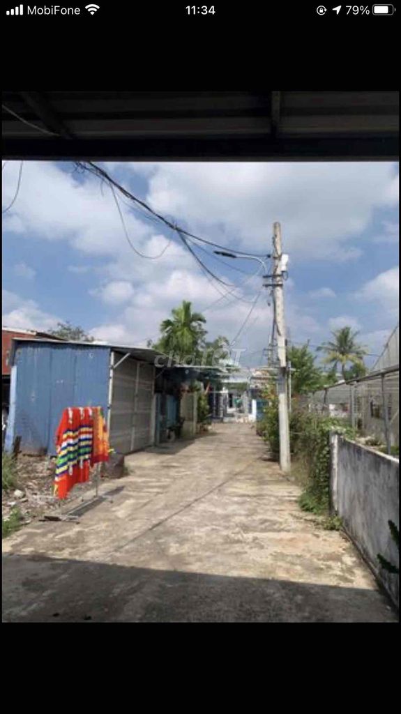 4338096 ảnh đại diện 2
