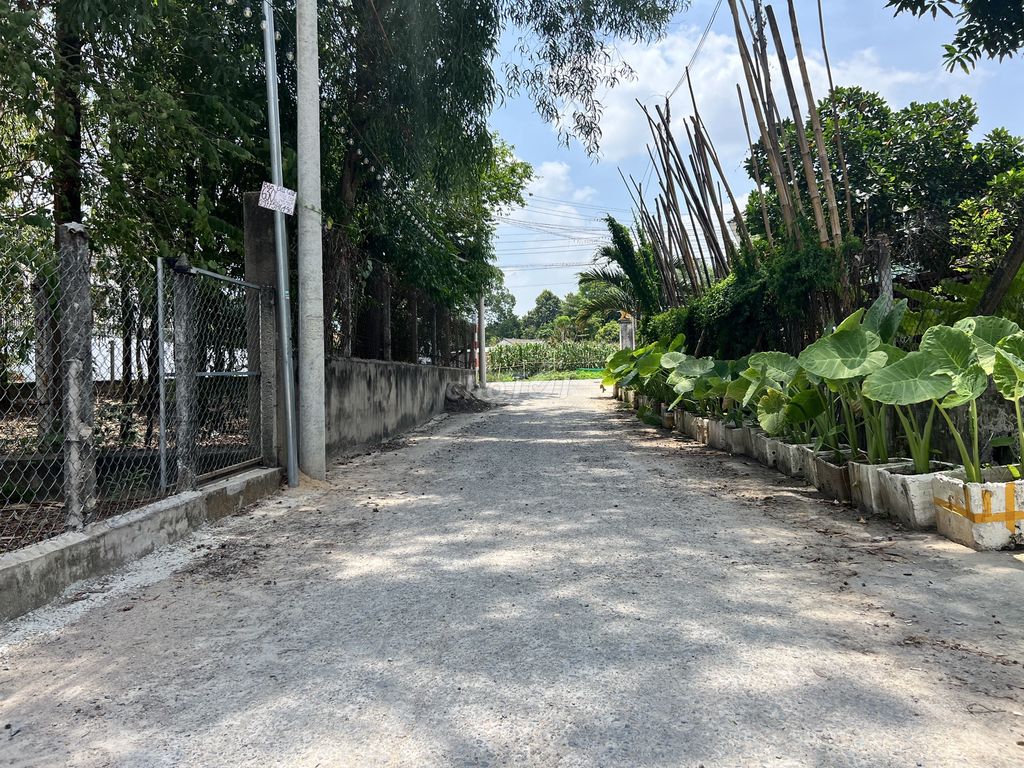 4338173 ảnh đại diện 2
