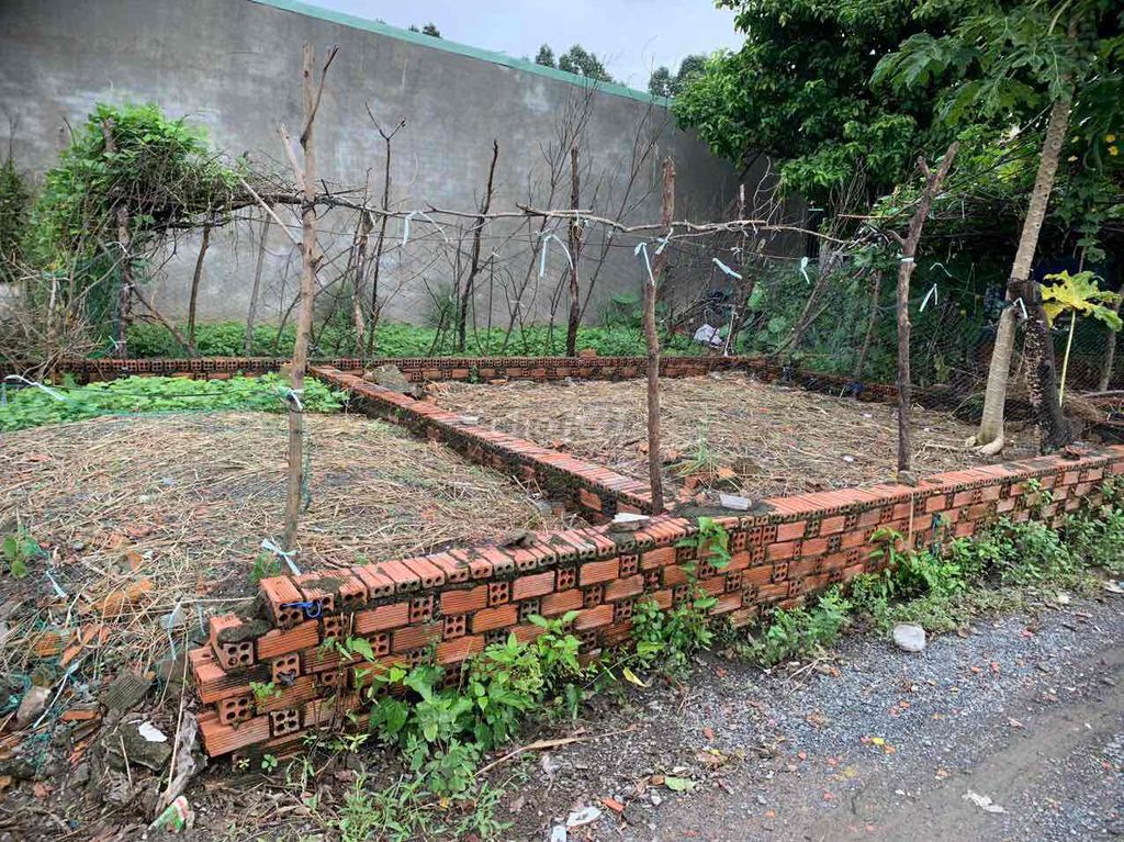 4337077 ảnh đại diện 2