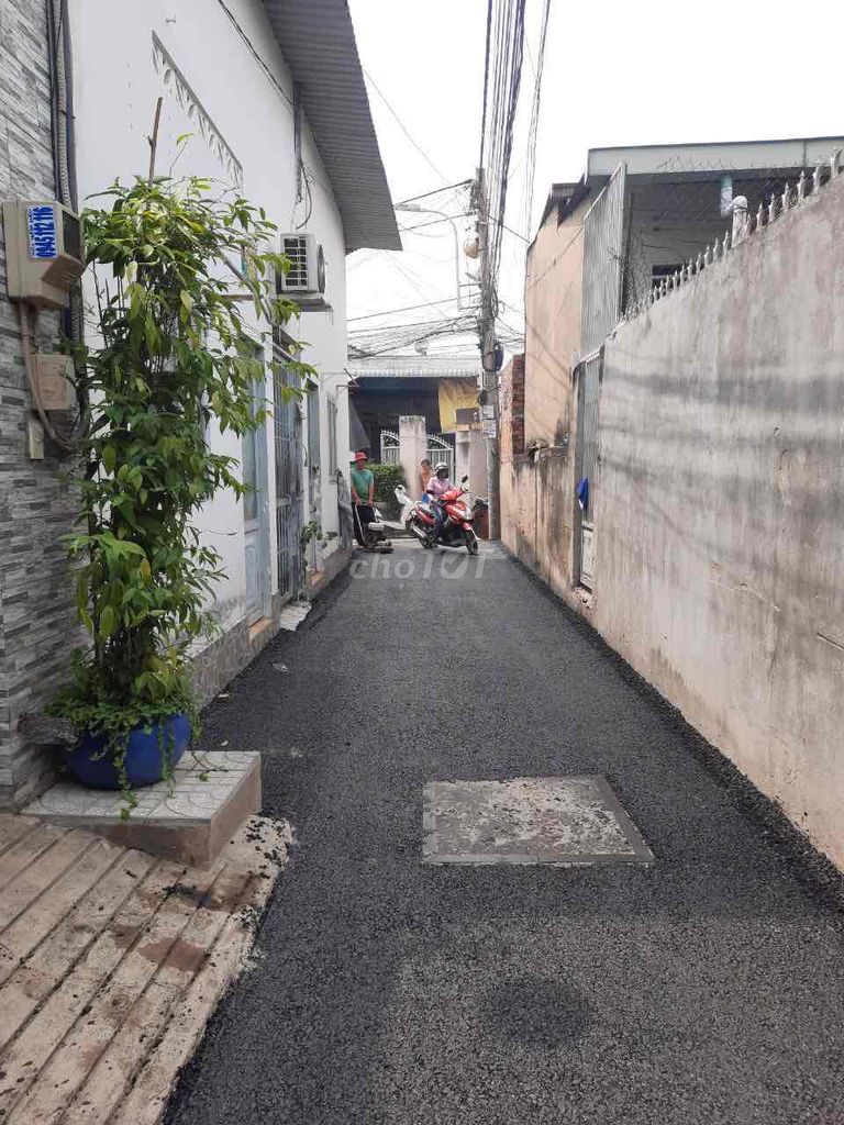 4338167 ảnh đại diện 1