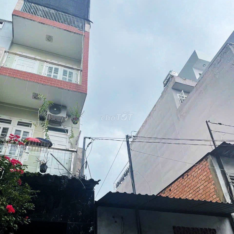 4336875 ảnh đại diện 1