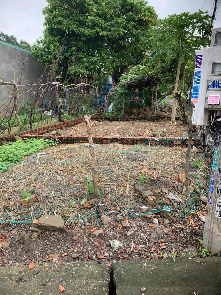 4337077 ảnh đại diện 1