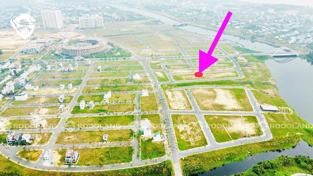 4335916 ảnh đại diện 1