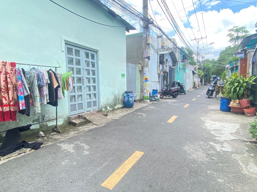 4337168 ảnh đại diện 1