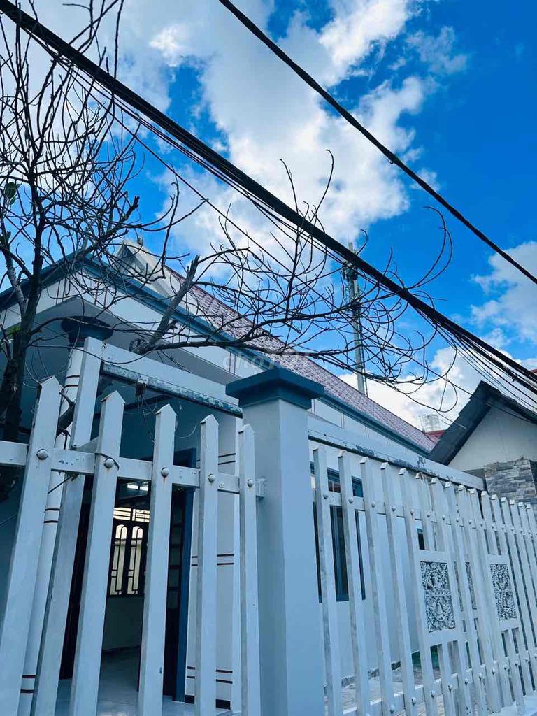 4335990 ảnh đại diện 1