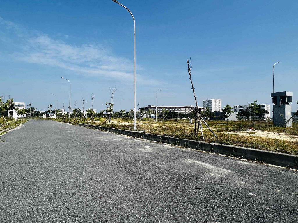 4335916 ảnh đại diện 2