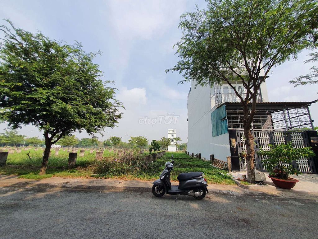 4342174 ảnh đại diện 1