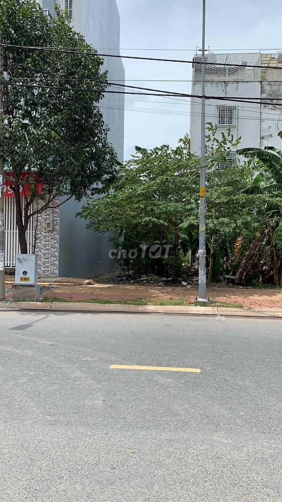 4344812 ảnh đại diện 1