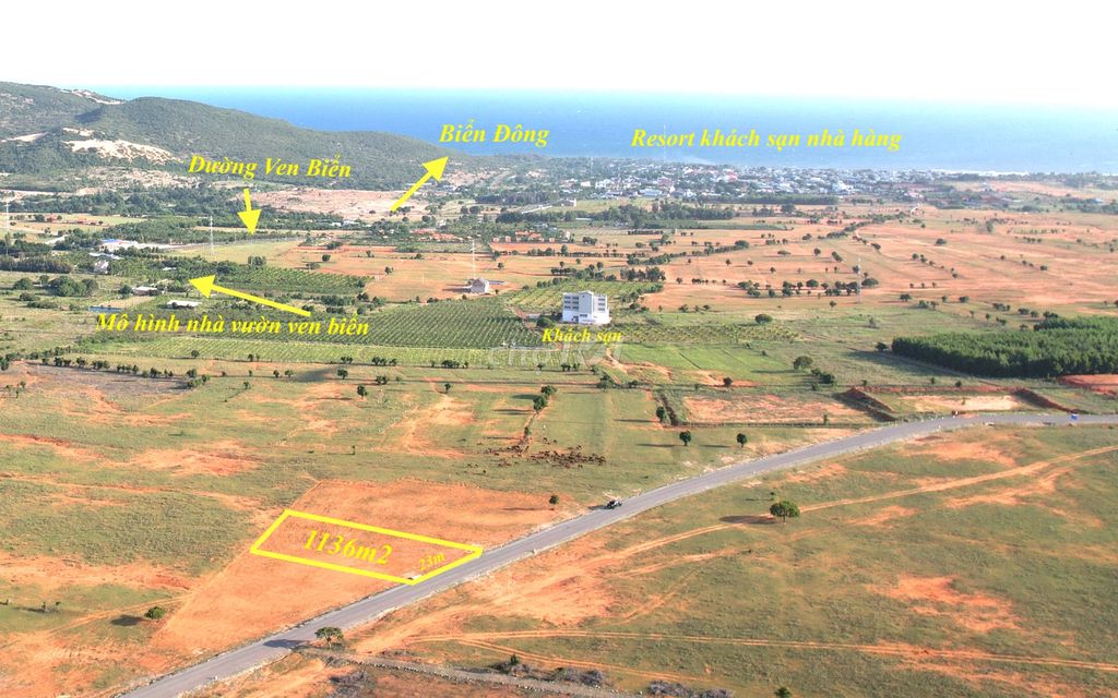 4347687 ảnh đại diện 1
