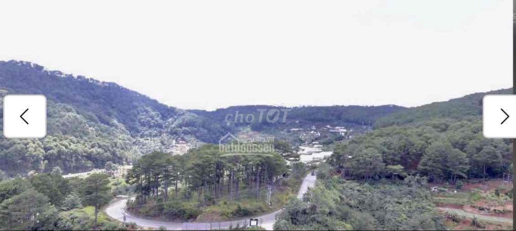 4343257 ảnh đại diện 2