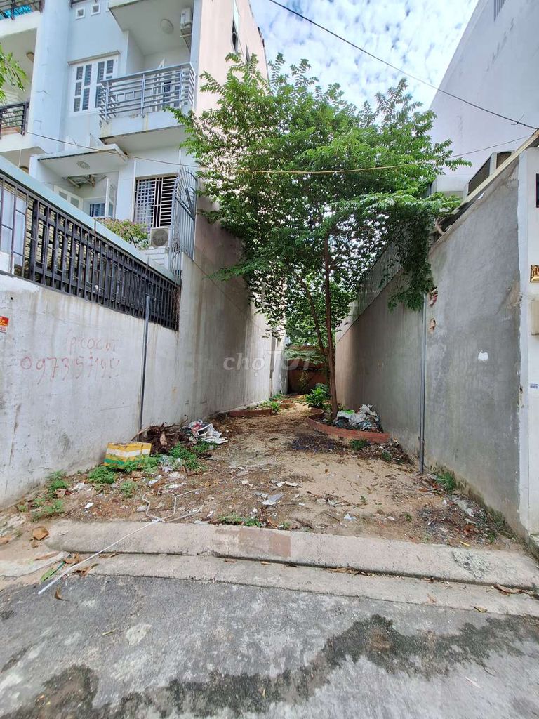 4347514 ảnh đại diện 2