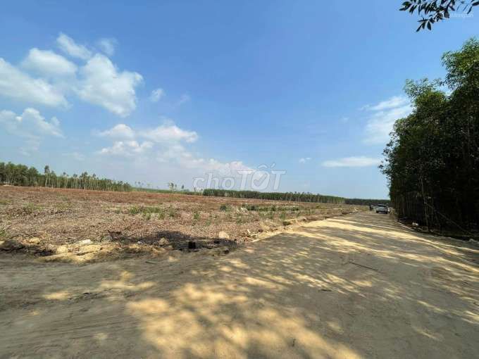 4346152 ảnh đại diện 1