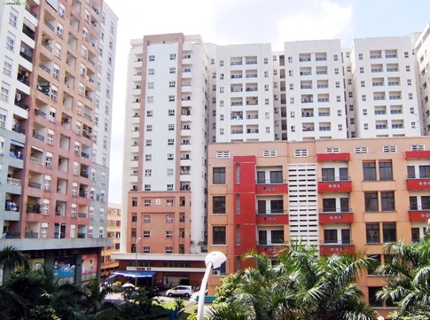 4342372 ảnh đại diện 2