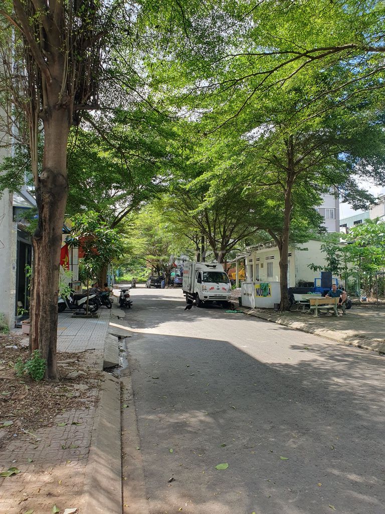 4342481 ảnh đại diện 2