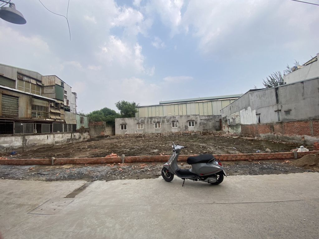 4343067 ảnh đại diện 2