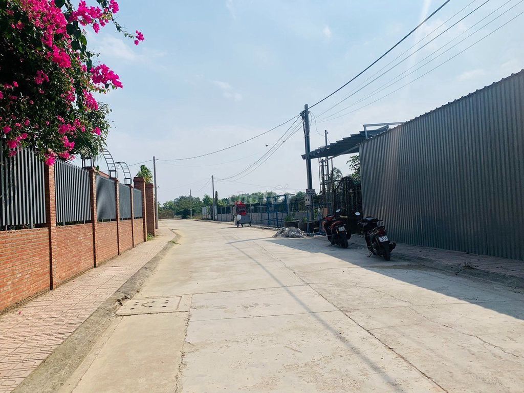 4341026 ảnh đại diện 1