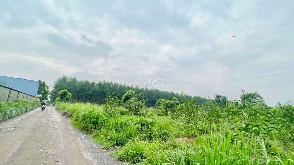 4341340 ảnh đại diện 2