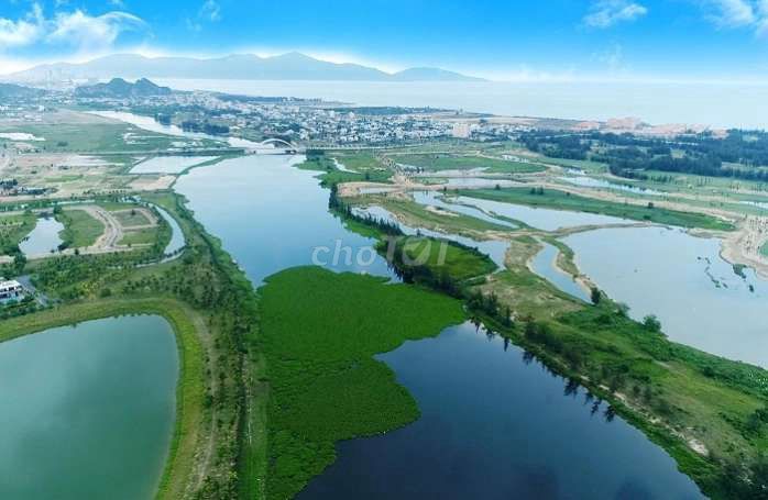 4347551 ảnh đại diện 2