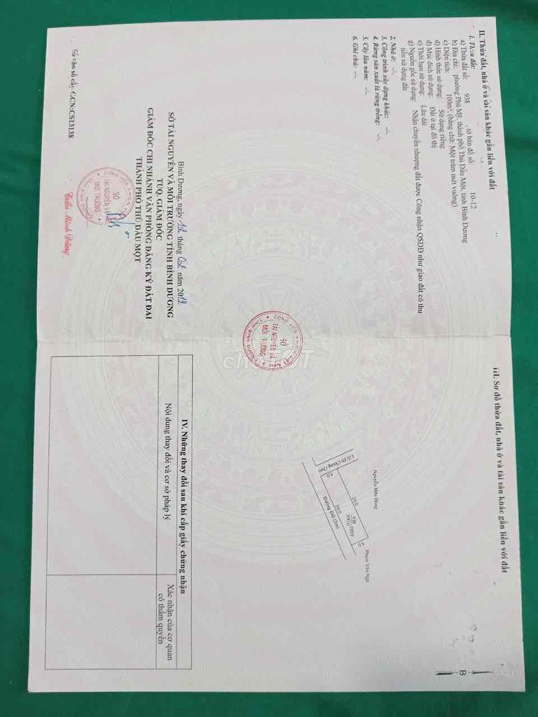 4341286 ảnh đại diện 1