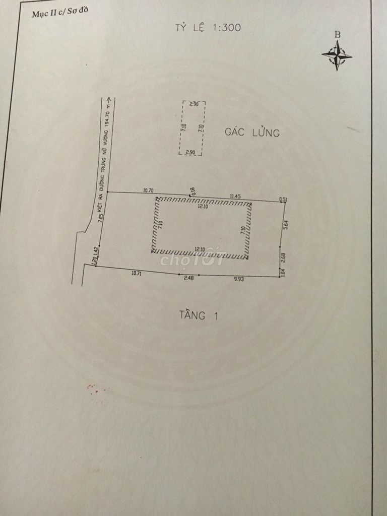 4340459 ảnh đại diện 2