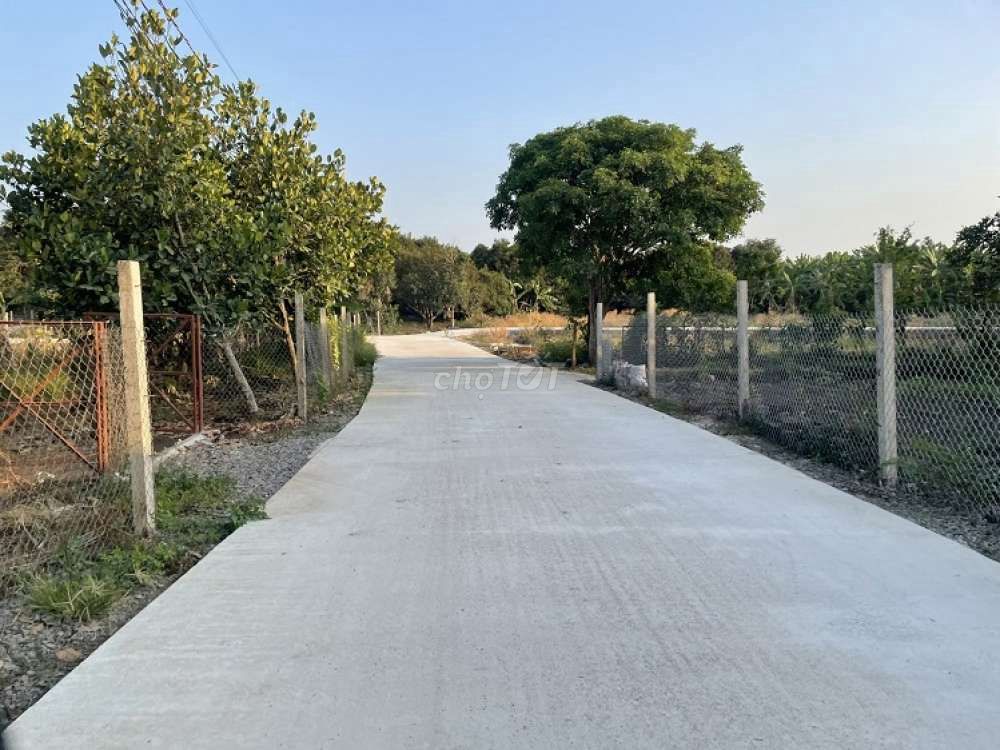 4346152 ảnh đại diện 1