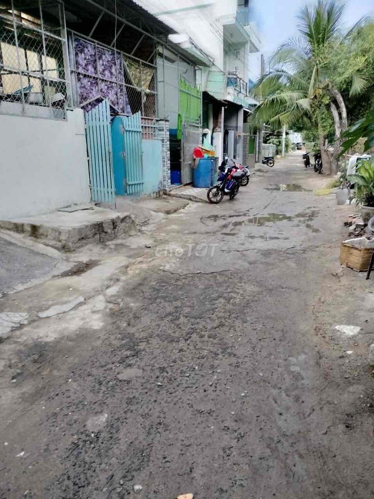 4343483 ảnh đại diện 2