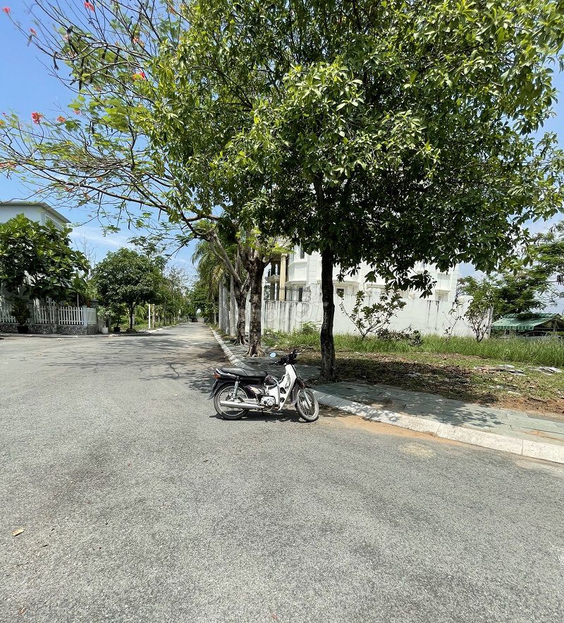 4346965 ảnh đại diện 2