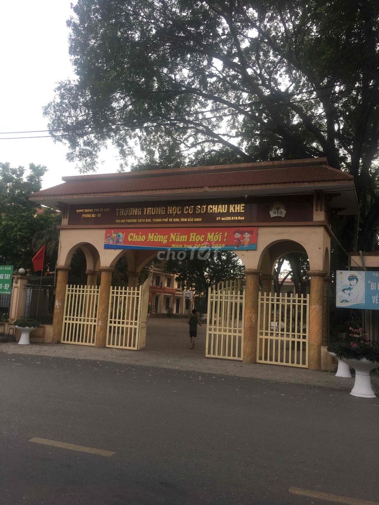 4342457 ảnh đại diện 2