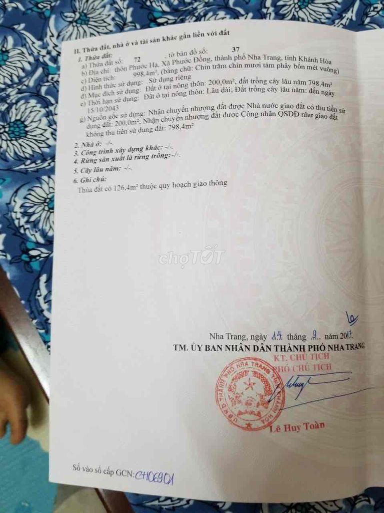 4343481 ảnh đại diện 1