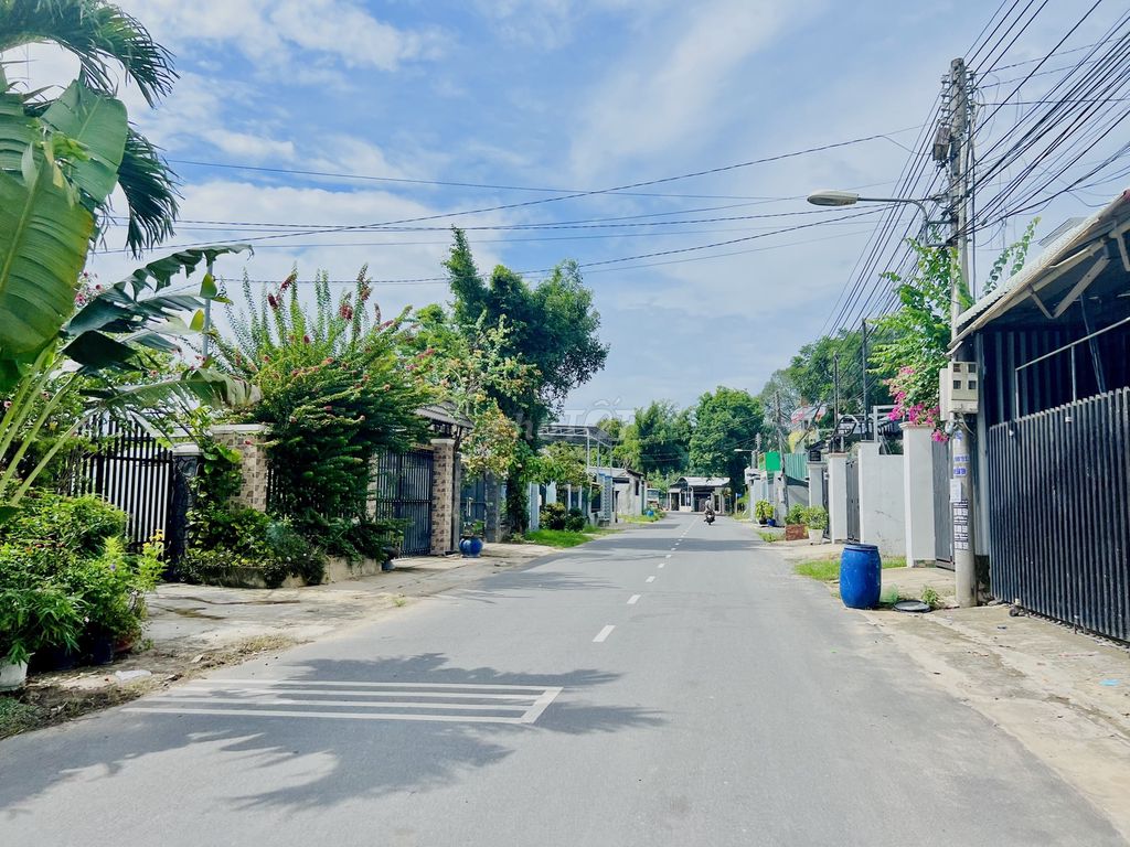 4346611 ảnh đại diện 2
