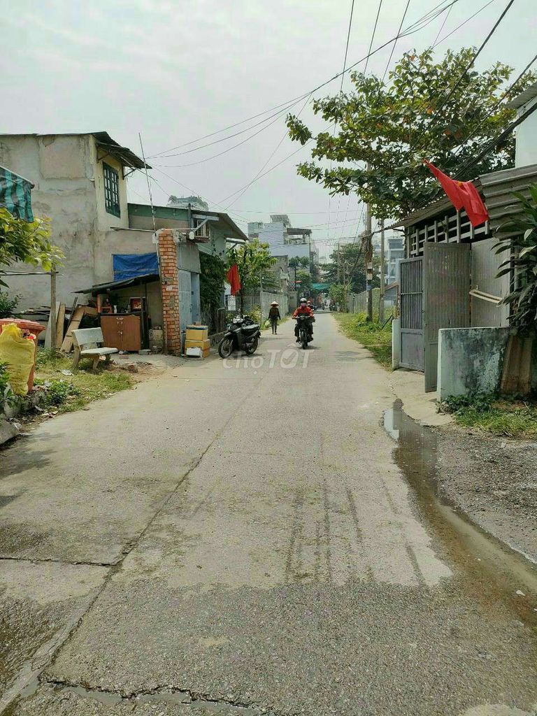 4347105 ảnh đại diện 1