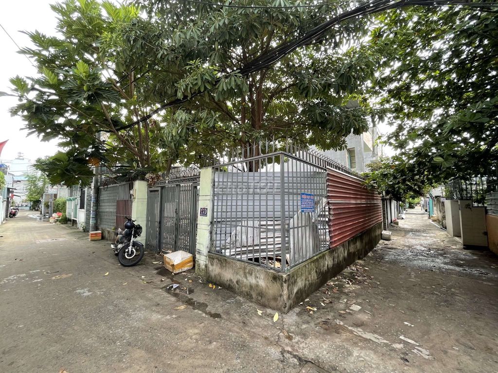 4344093 ảnh đại diện 1
