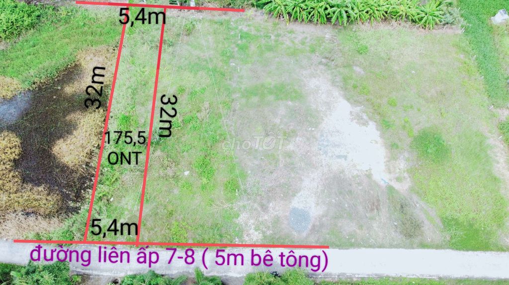 4346501 ảnh đại diện 2