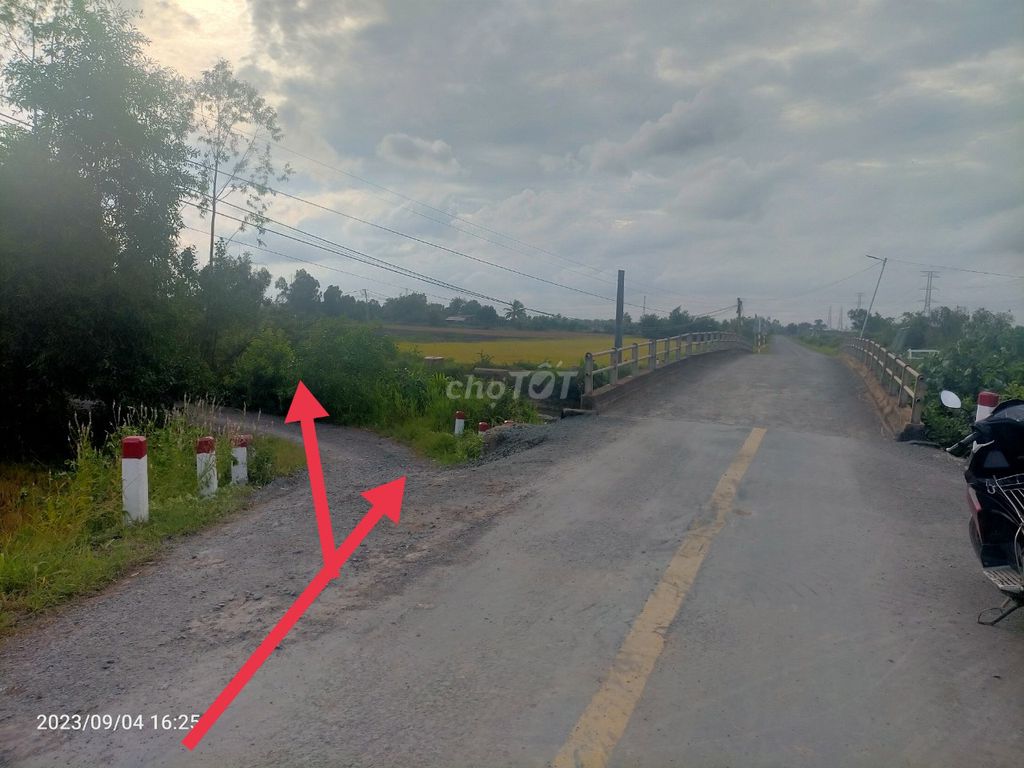 4347151 ảnh đại diện 1