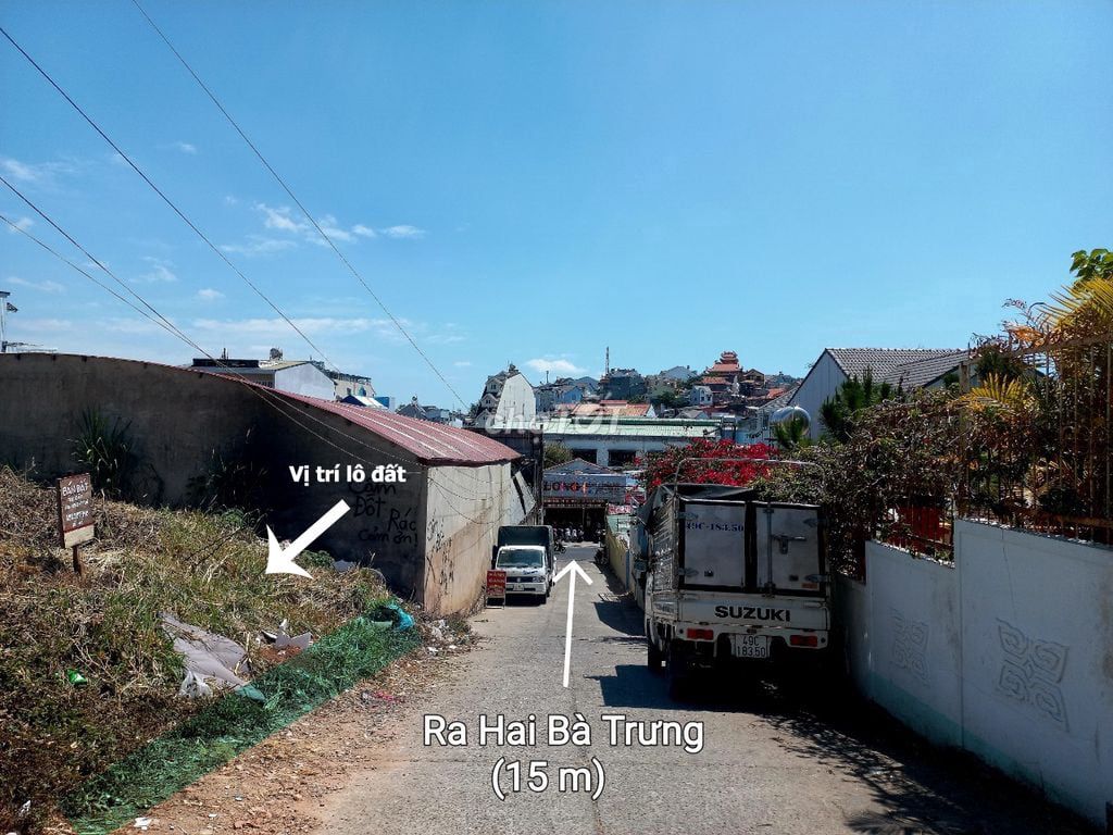 4343958 ảnh đại diện 1