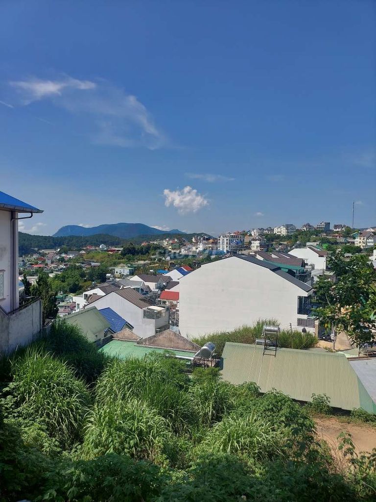 4341984 ảnh đại diện 1
