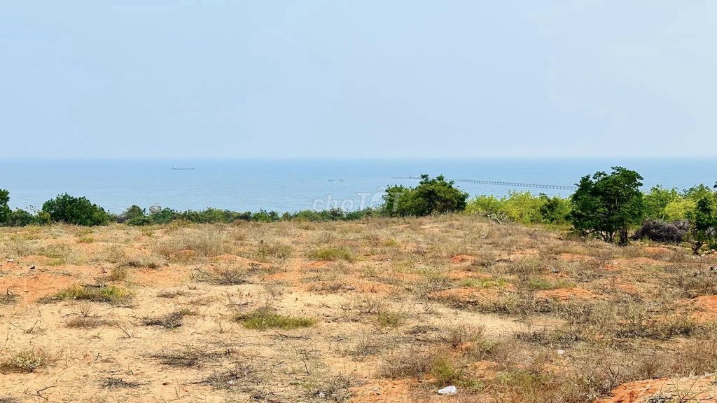 4345605 ảnh đại diện 2
