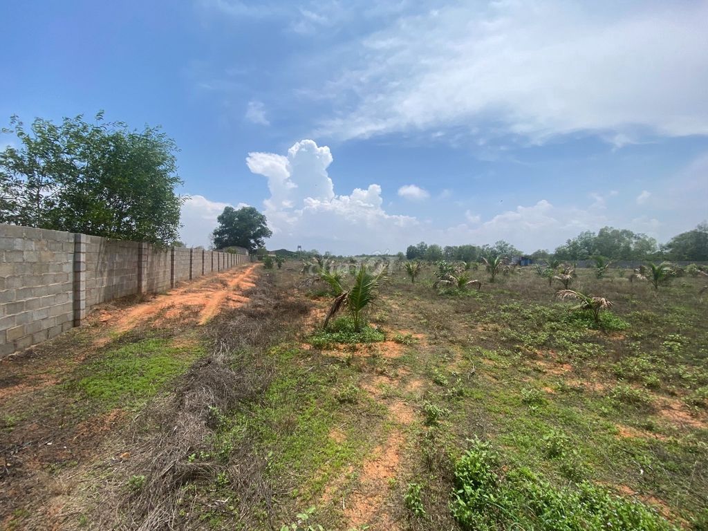 4347024 ảnh đại diện 1