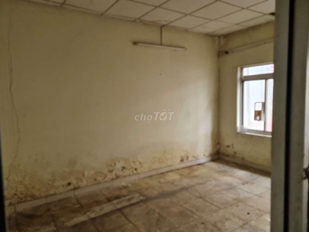 4342884 ảnh đại diện 2