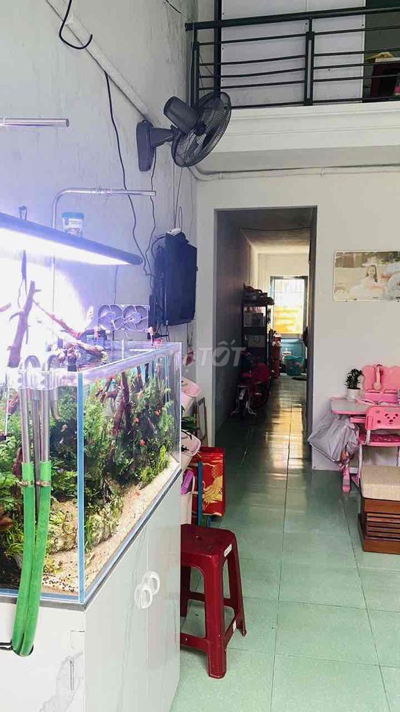 4345585 ảnh đại diện 2