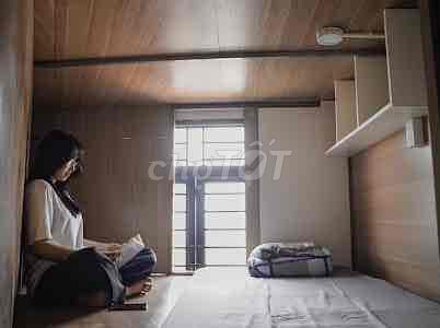 4343731 ảnh đại diện 2