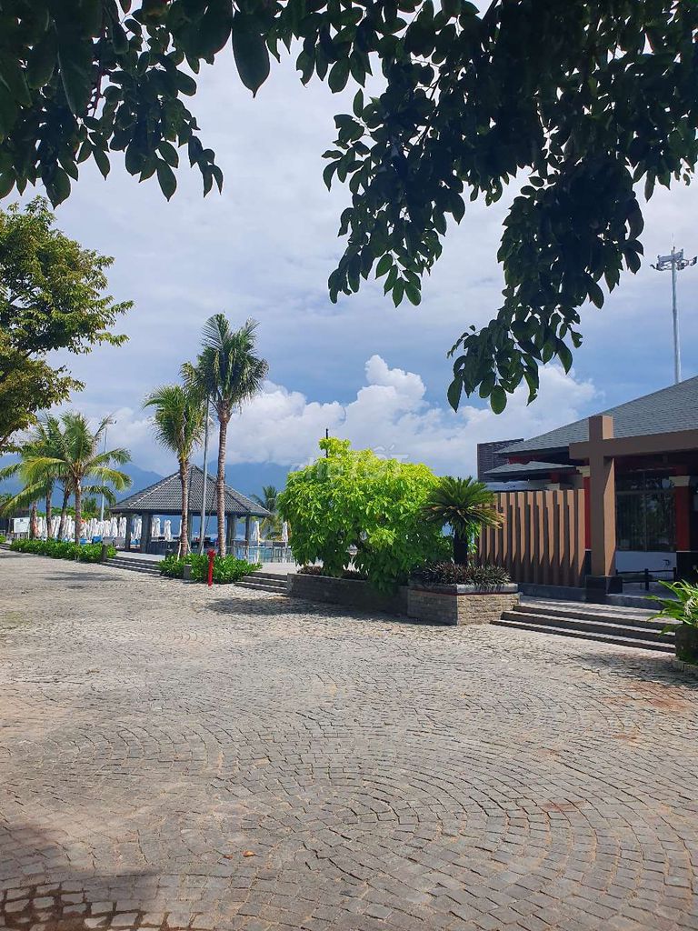 4342584 ảnh đại diện 2