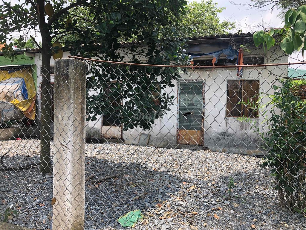 4346506 ảnh đại diện 1