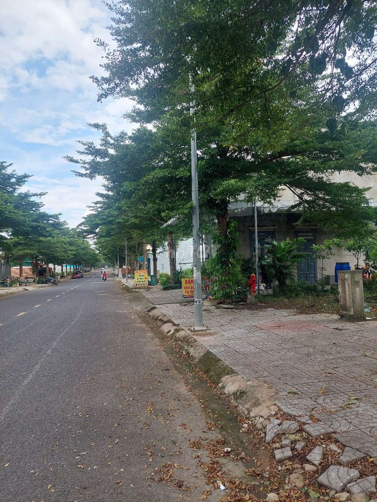 4342982 ảnh đại diện 2