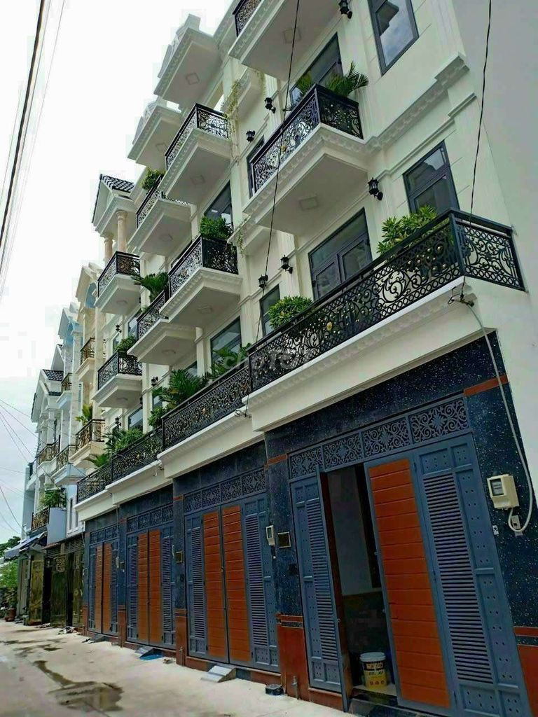 4344272 ảnh đại diện 1