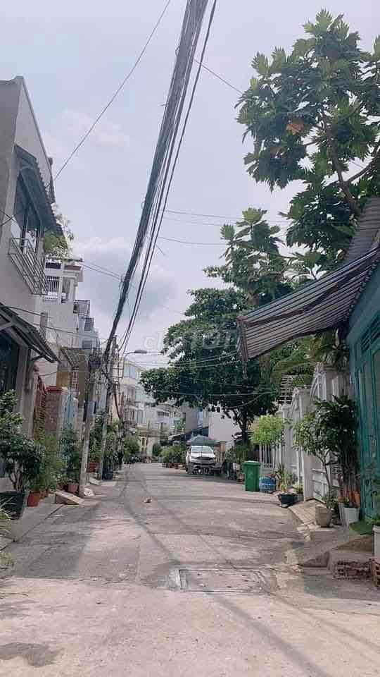 4343881 ảnh đại diện 1