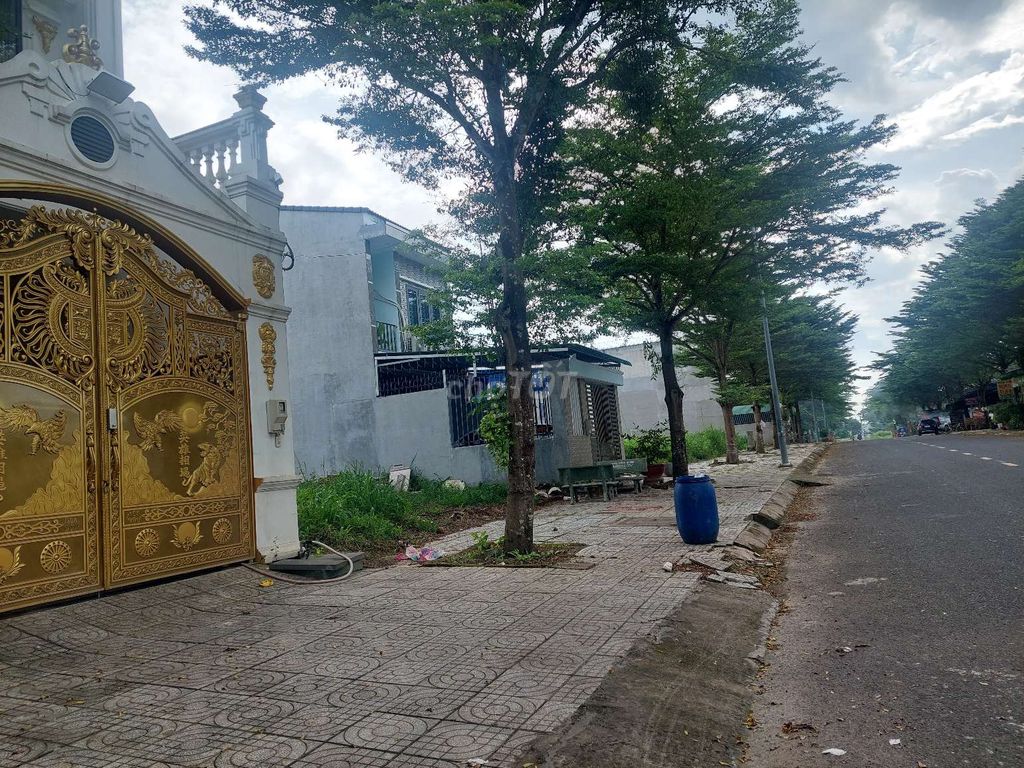 4342982 ảnh đại diện 1